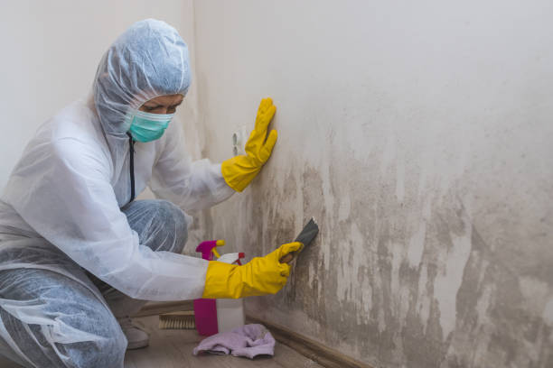 Best Air Quality Testing for Mold Spores  in Eastvale, CA