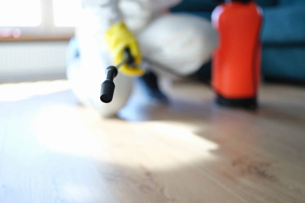 Best Comprehensive Air Testing for Mold Contaminants  in Eastvale, CA